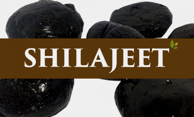 Shilajeet - is powerful herb for mankind